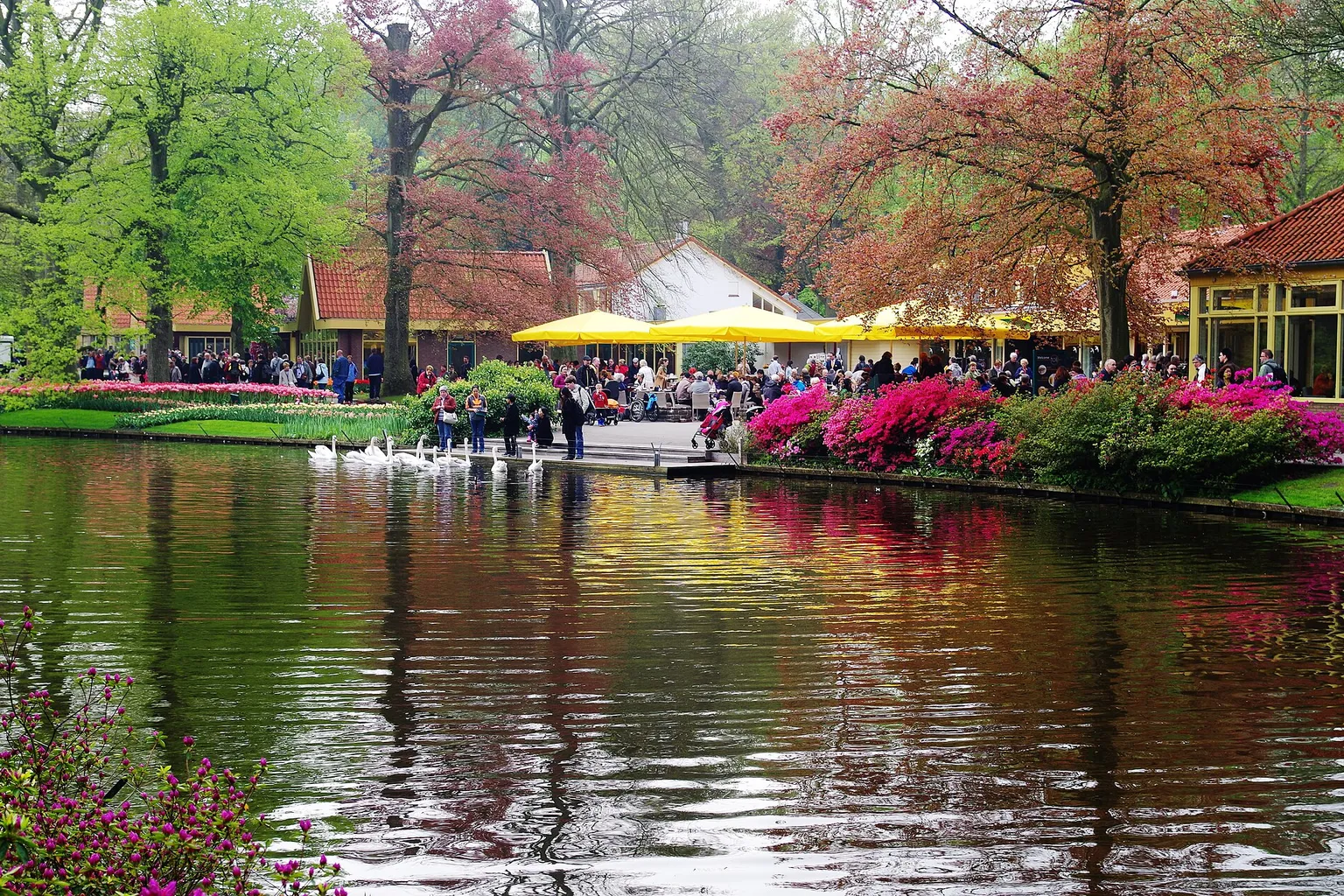 Keukenhof visita: qué es y cómo funciona el acceso al parque