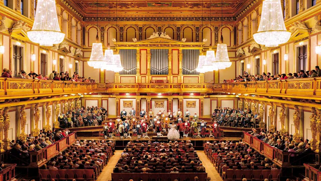 Conciertos y ópera en Viena